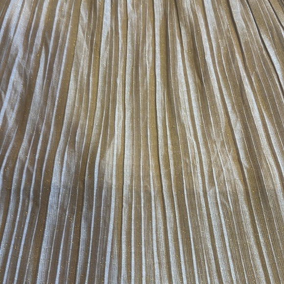 NWT Walter Baker long shimmery elastic skirt beige gold with inside liner size 6 - Picture 2 of 11